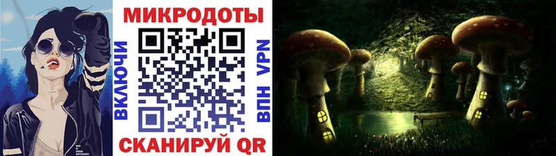 Купить где  Макаров  Галлюциногенные грибы ЛСД 
